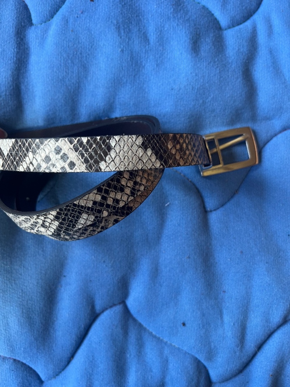 Coldwater Creek Twbersible Reptile Belt